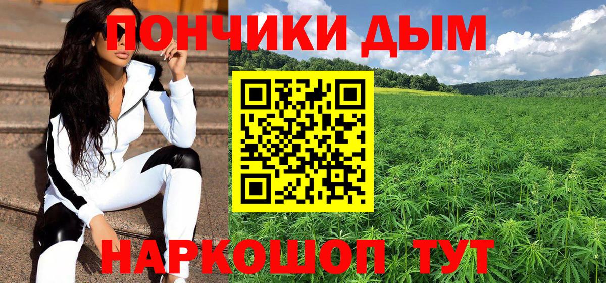 Каннабис семена  Вход с VPN  Каннабис SATIVA & INDICA  Петрозаводск 